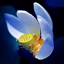 《优米雅的炼金工房》制作人专访：不只是臀部，优米雅的其他地方也很可爱